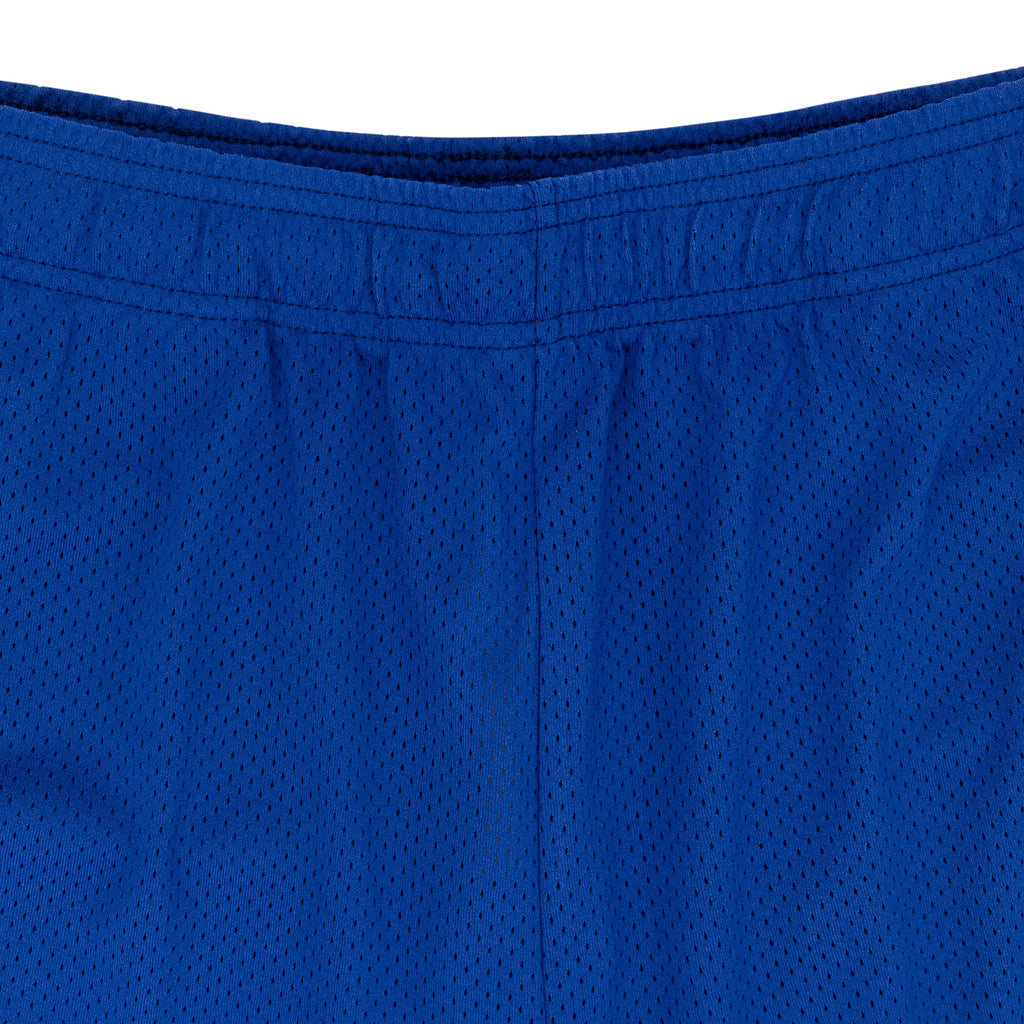 BAT REAPER MESH PURPLE SHORTS