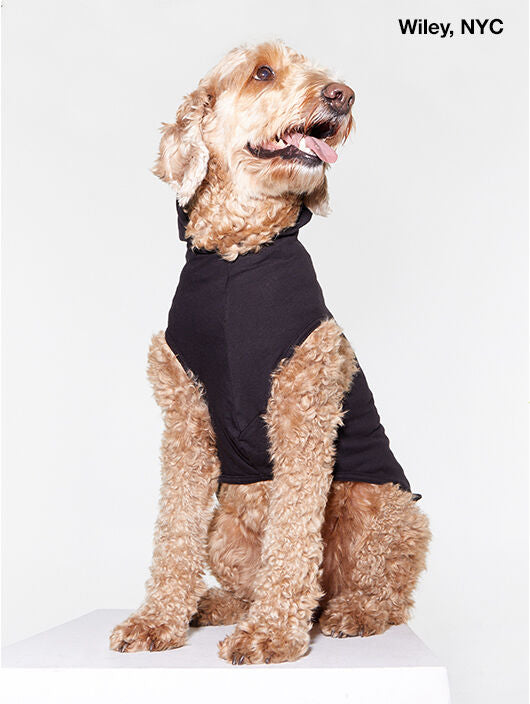 DOG SWEATER BLACK